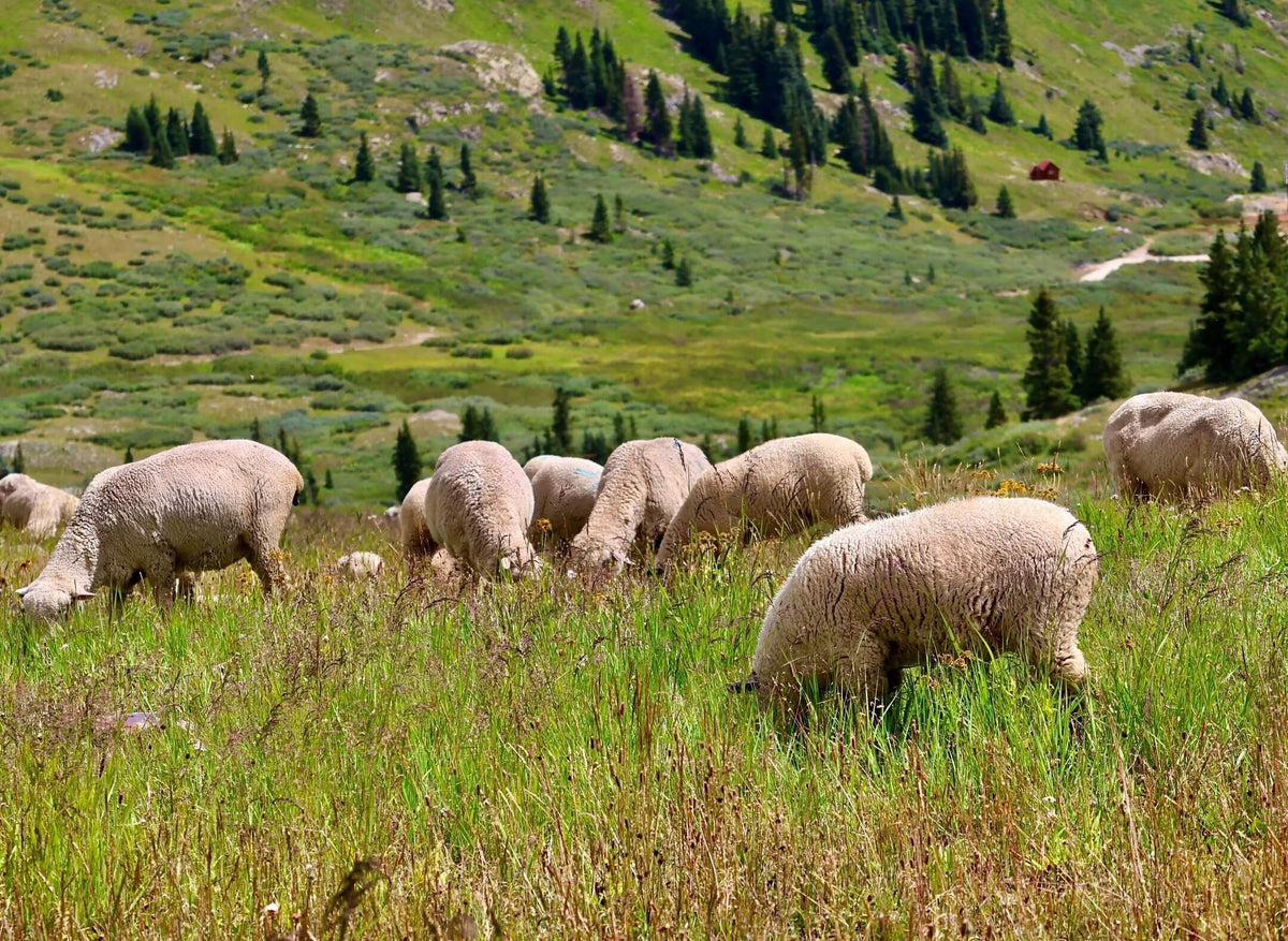 our grazes — grazethis Images High Quality Grahic our story – Graze